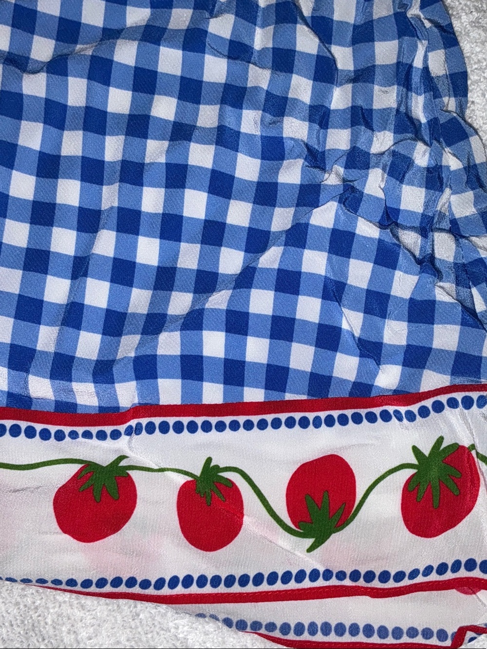 Rails X Giadzy Grazia Print Skirt - Picture 7 of 7